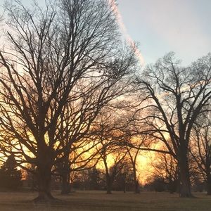 DISCOUNT ON BUNDLES READ DESCRIPTION